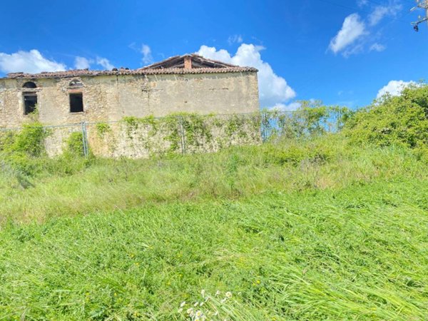azienda agricola in vendita a Lugagnano Val d'Arda