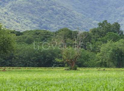 ufficio in vendita a Lugagnano Val d'Arda