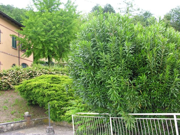 casa indipendente in vendita a Lugagnano Val d'Arda