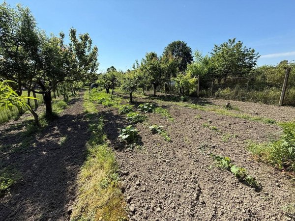 casa semindipendente in vendita a Monticelli d'Ongina in zona San Nazzaro