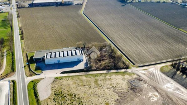 terreno agricolo in vendita a Monticelli d'Ongina