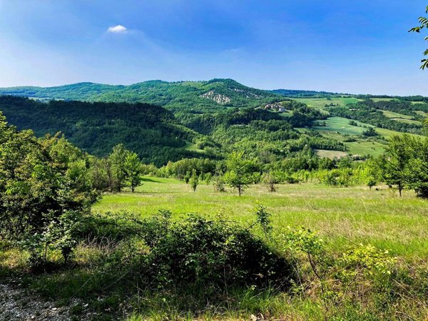 appartamento in vendita a Morfasso