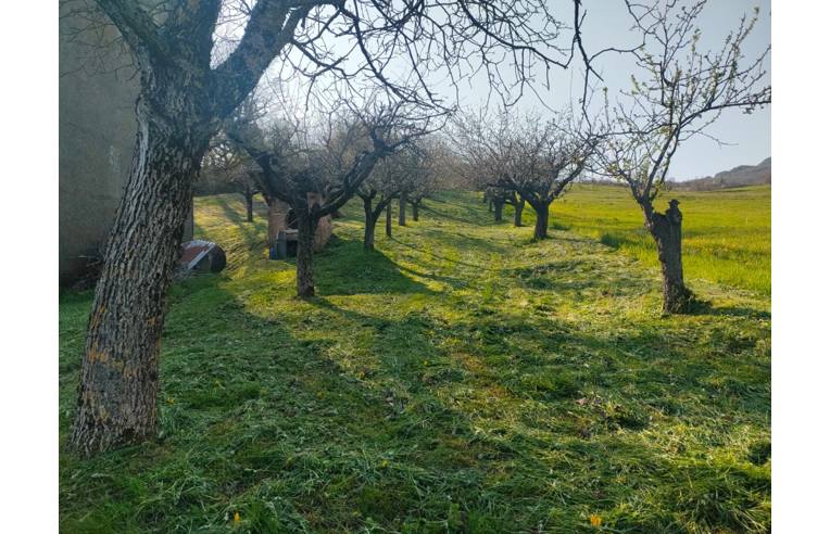 casa indipendente in vendita a Morfasso