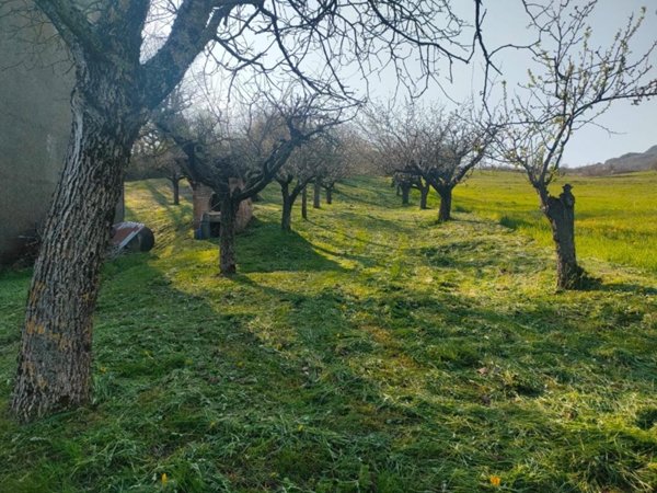 casa indipendente in vendita a Morfasso