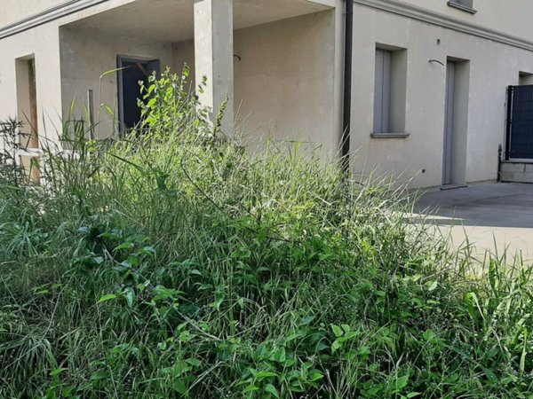 casa indipendente in vendita a Piacenza in zona Infrangibile