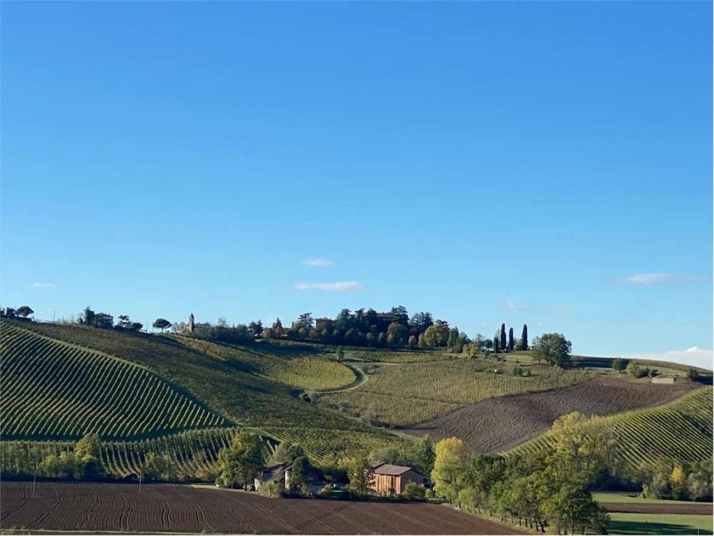 terreno agricolo in vendita a Piacenza