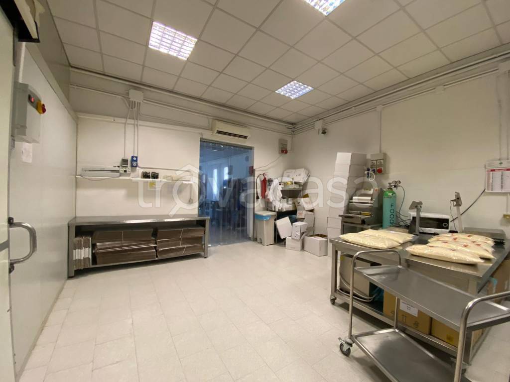 quadrivano in vendita a Piacenza in zona Borgotrebbia