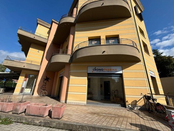 intera palazzina in vendita a Piacenza in zona Stadio