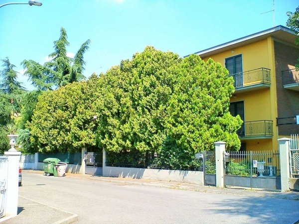 appartamento in vendita a Piacenza in zona Veggioletta