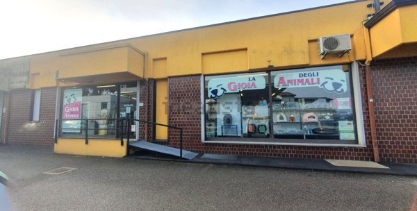 negozio in vendita a Piacenza