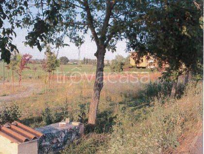 appartamento in vendita a Piacenza in zona Borgotrebbia