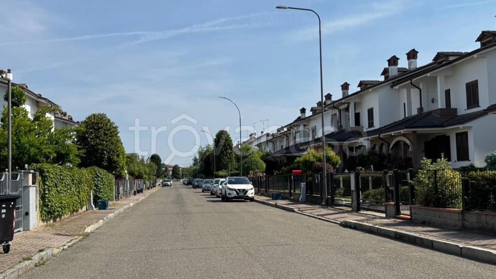 immagine annuncio 0 di 4