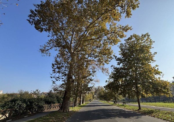 appartamento in vendita a Piacenza