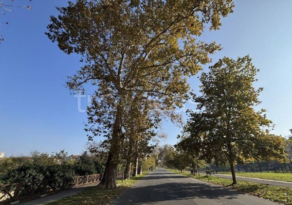 appartamento in vendita a Piacenza