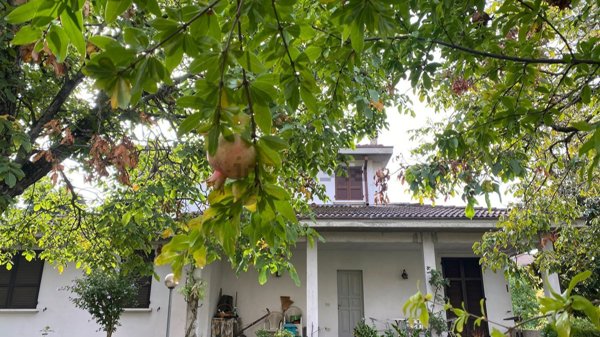 casa indipendente in vendita a Piacenza in zona Besurica