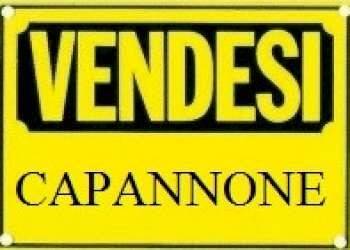 capannone in vendita a Piacenza in zona Pittolo