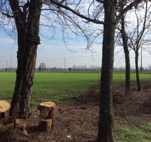 casale in vendita a Piacenza in zona Centro Storico