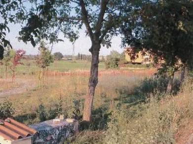terreno edificabile in vendita a Piacenza in zona Borgotrebbia
