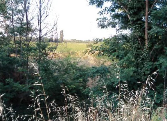 terreno edificabile in vendita a Piacenza in zona Borgotrebbia