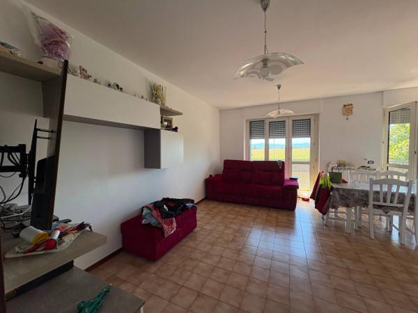 appartamento in vendita a Piacenza in zona Borgotrebbia