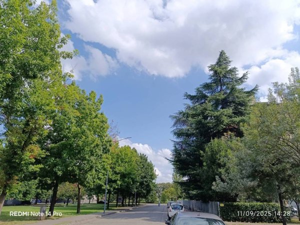 appartamento in vendita a Piacenza in zona Stadio