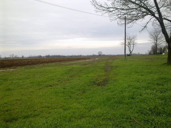 terreno agricolo in vendita a Piacenza in zona Mortizza