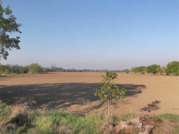 terreno agricolo in vendita a Piacenza in zona San Bonico