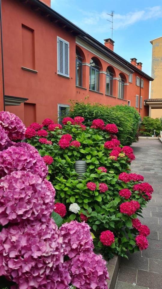 appartamento in vendita a Piacenza in zona Centro Storico