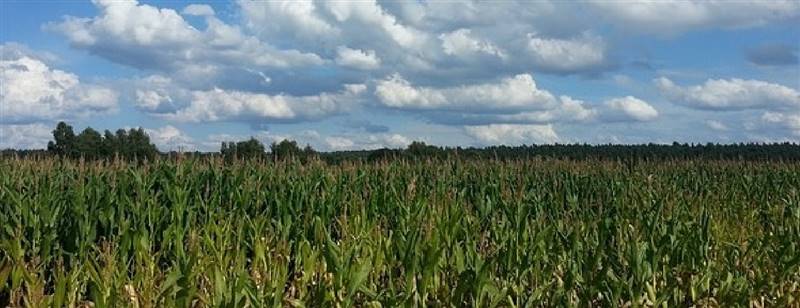 azienda agricola in vendita a Piacenza
