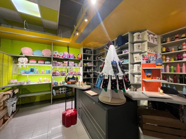 negozio in vendita a Piacenza in zona Veggioletta