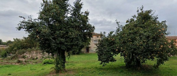 immagine annuncio 0 di 1