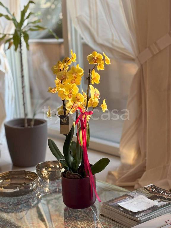 casa indipendente in vendita a Piacenza in zona Vallera