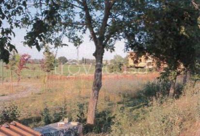 ufficio in vendita a Piacenza in zona Borgotrebbia