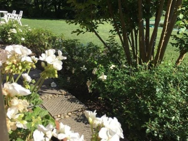 esavano in vendita a Piacenza in zona La Verza