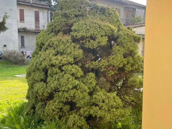 appartamento in vendita a Piacenza in zona Centro Storico