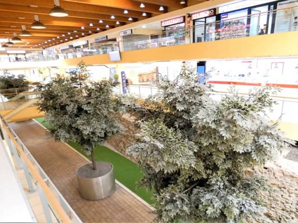 negozio in vendita a Piacenza in zona Centro Storico