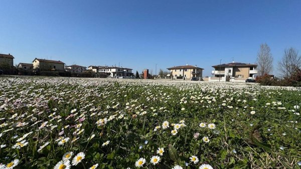 terreno agricolo in vendita a Piacenza in zona I Vaccari