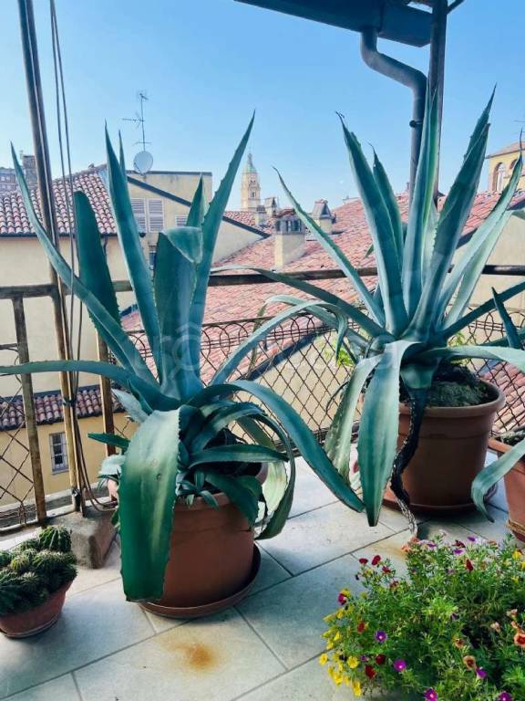 appartamento in vendita a Piacenza in zona Centro Storico