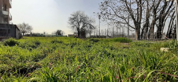 casa indipendente in vendita a Piacenza in zona Belvedere / Quartiere Duemila