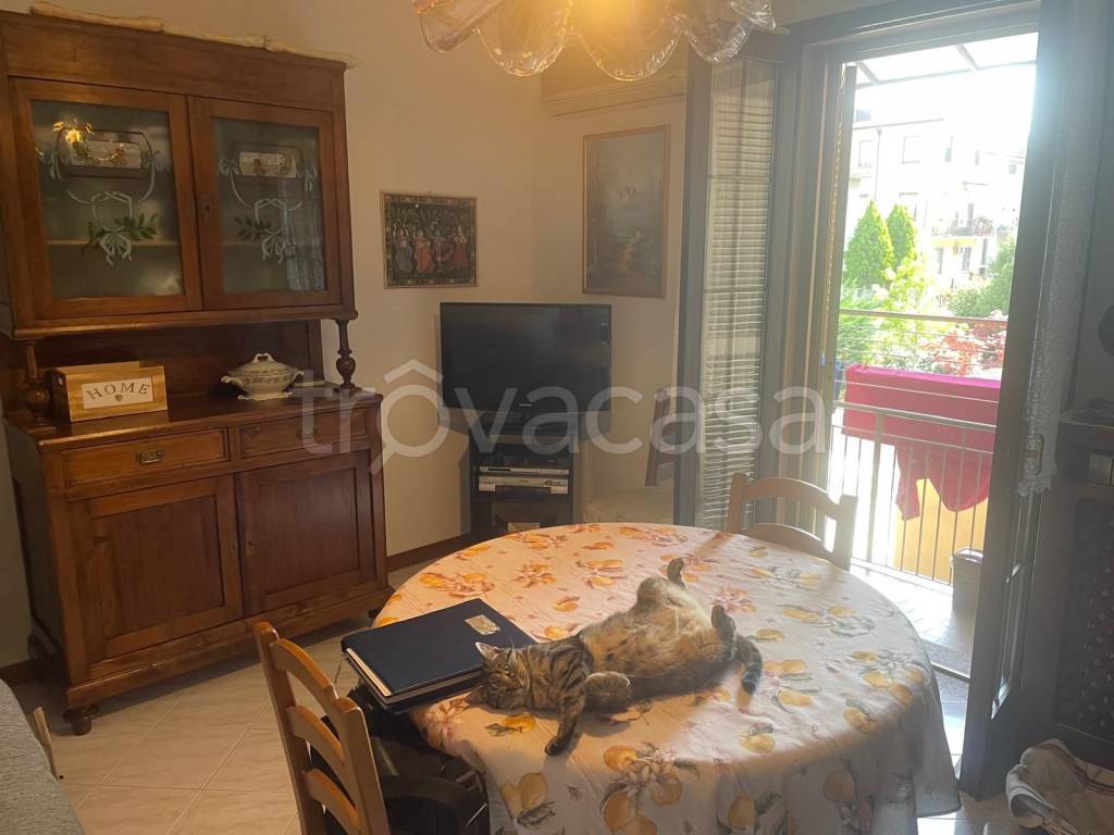 appartamento in vendita a Piacenza in zona Farnesiana