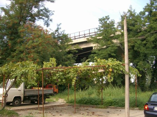 albergo in vendita a Piacenza in zona Barriera Milano