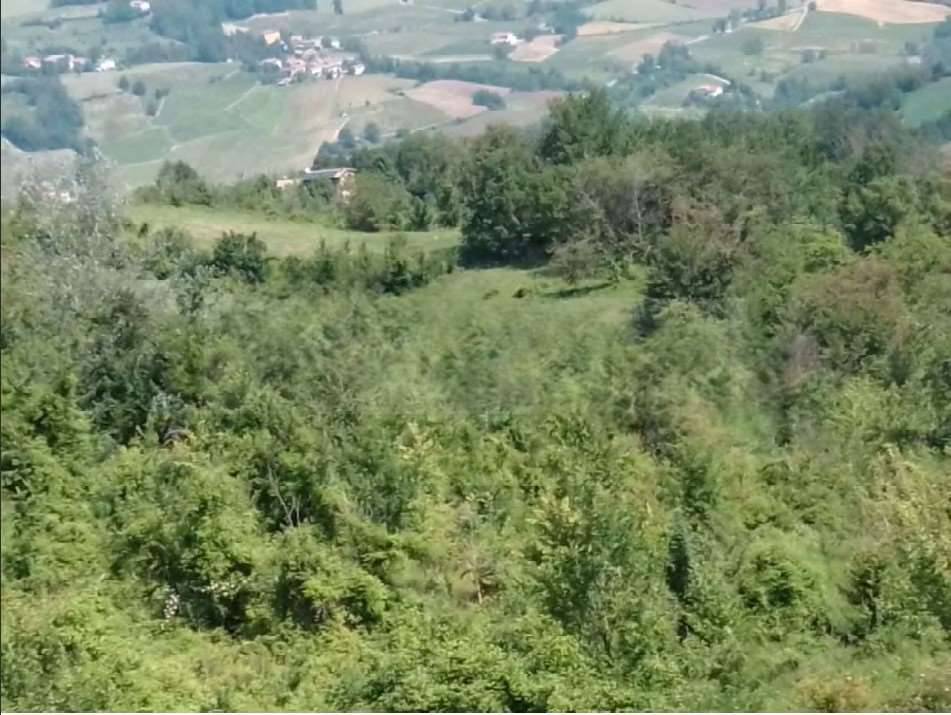 terreno agricolo in vendita a Pianello Val Tidone