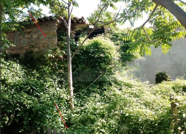 terreno agricolo in vendita a Pianello Val Tidone