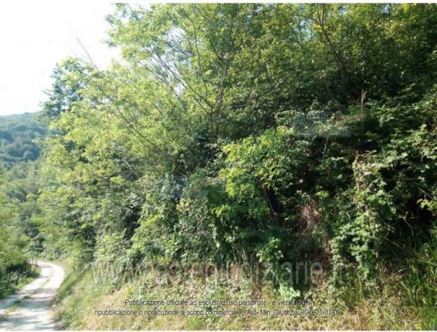 terreno edificabile in vendita a Pianello Val Tidone