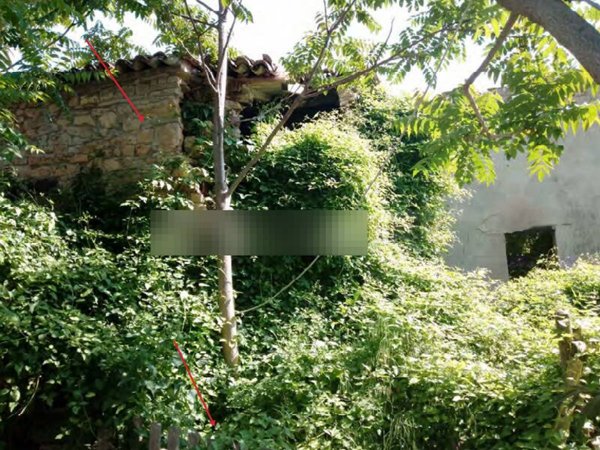 terreno agricolo in vendita a Pianello Val Tidone