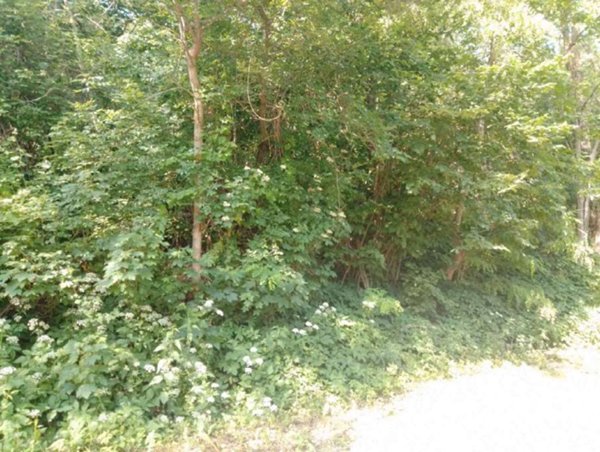 casa indipendente in vendita a Pianello Val Tidone