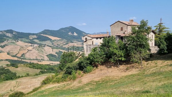 esavano in vendita a Piozzano