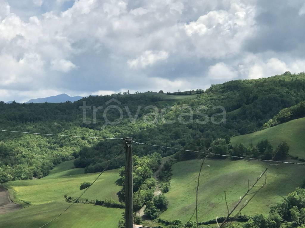 terreno agricolo in vendita a Piozzano