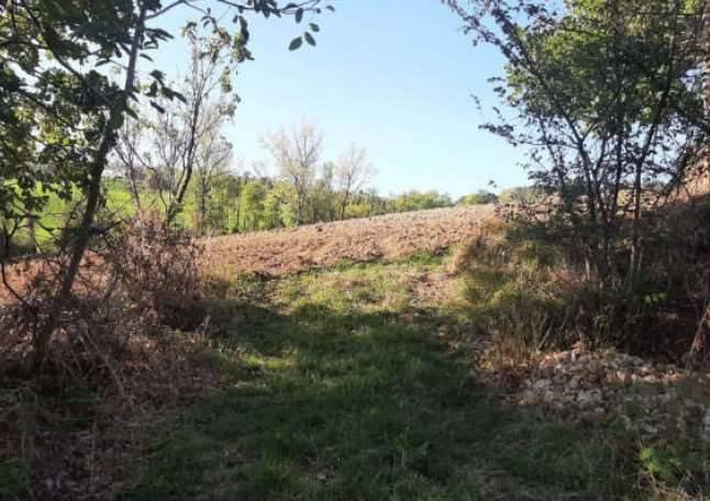 terreno agricolo in vendita a Piozzano
