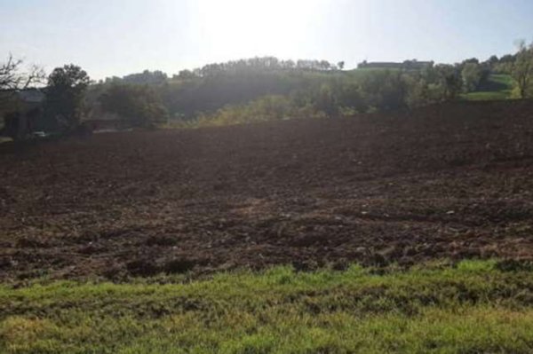 terreno agricolo in vendita a Piozzano